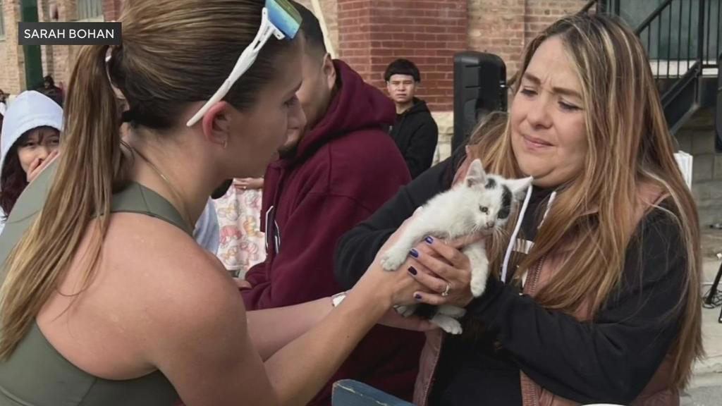 Runner rescues kitten during Chicago Marathon
