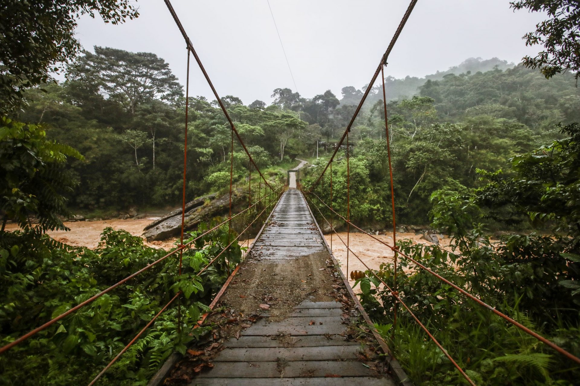 How to survive in the Amazon rainforest