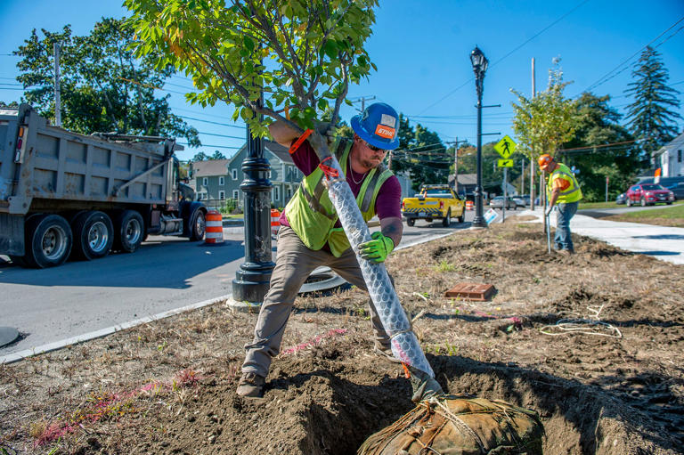 Your yard, your rules. Sure. But a case for removing leaves from your lawn