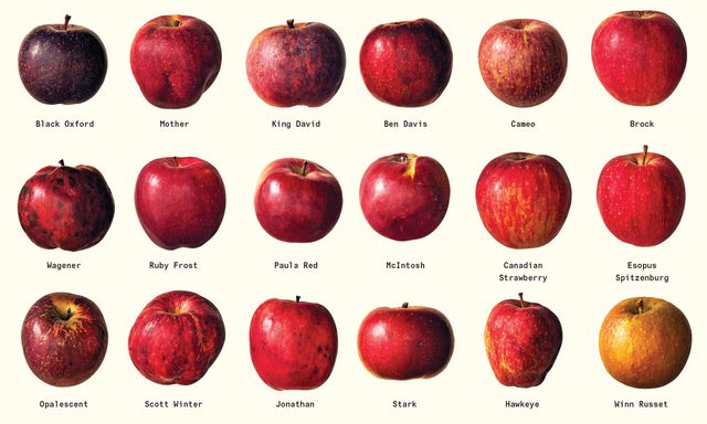 kinds of apples        
        <figure class=