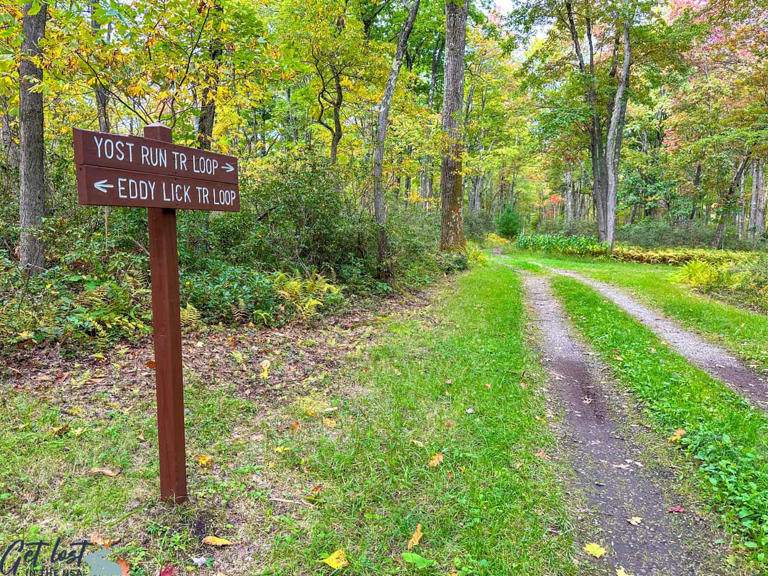 Hiking to Yost Run Falls in Sproul State Forest (Dual Waterfall Adventure)