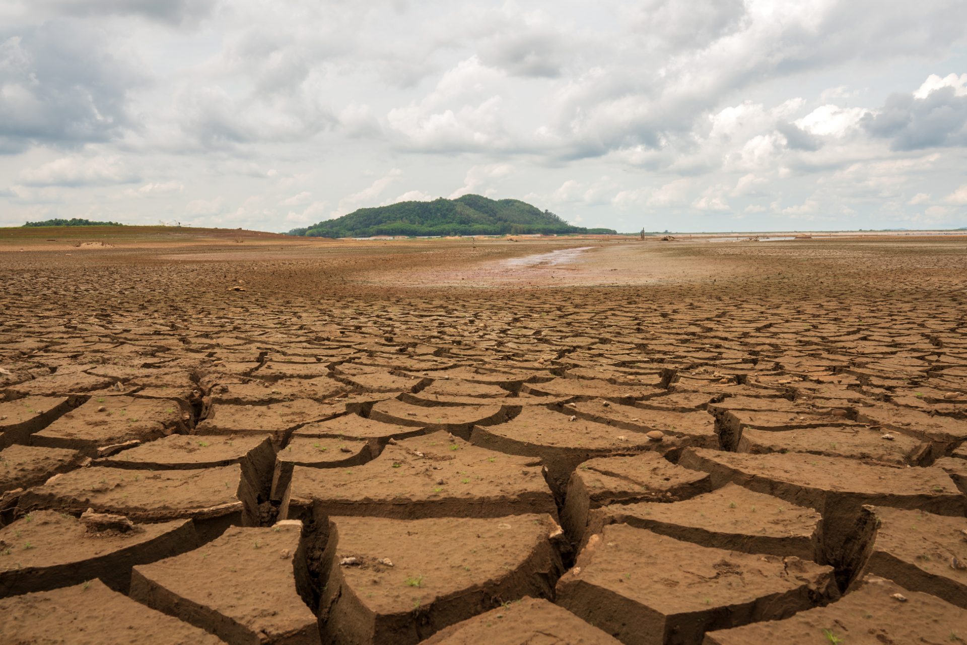 Disappearing lakes confirm the global water crisis, study finds
