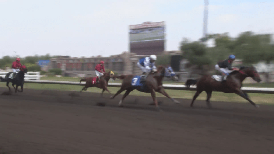 What’s the future of horse racing look like at the Big Fresno Fair?