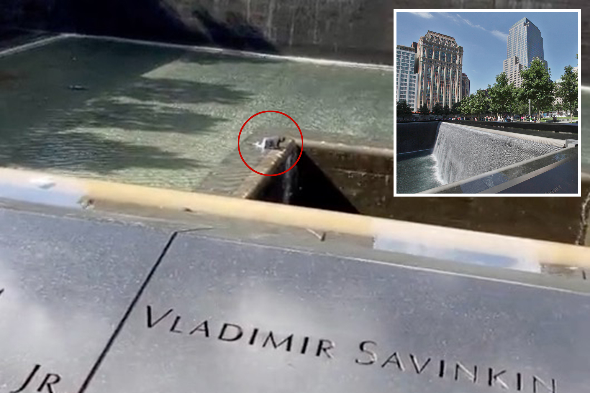 NYC man, 33, leaps into North Pool at 9/11 Memorial, survives and is