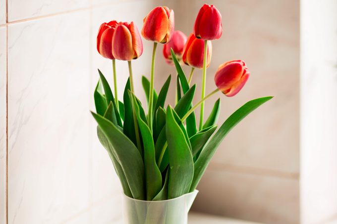 Still life with tulips bouquet on wooden table