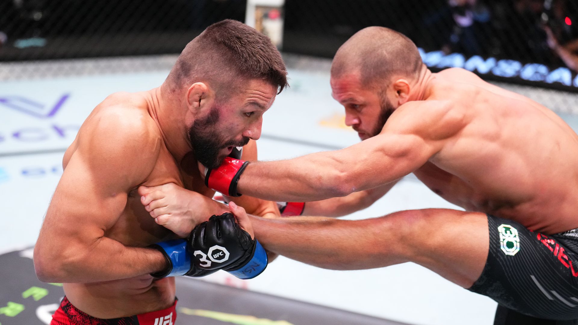 Гамрот боец. Mateusz Gamrot UFC. UFC 79.