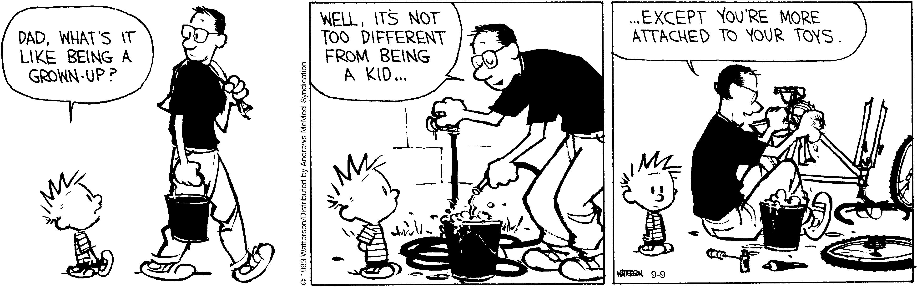 Calvin And Hobbes By Bill Watterson 