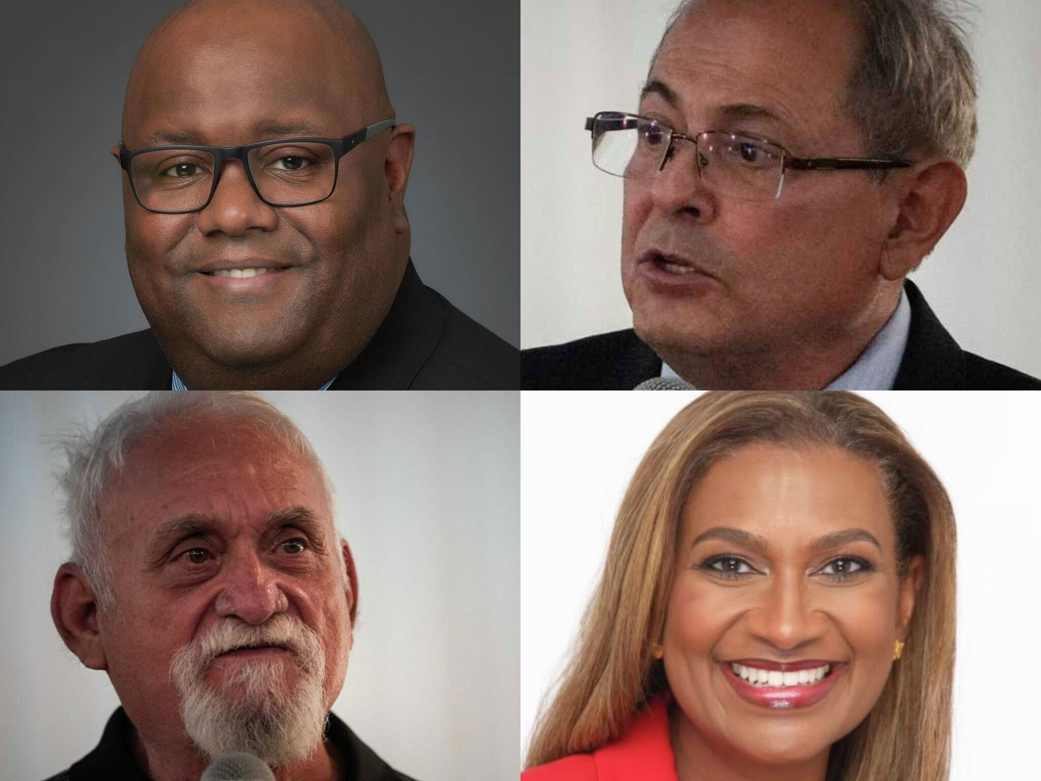 What to know about Houston's City Council AtLarge 4 race Candidates