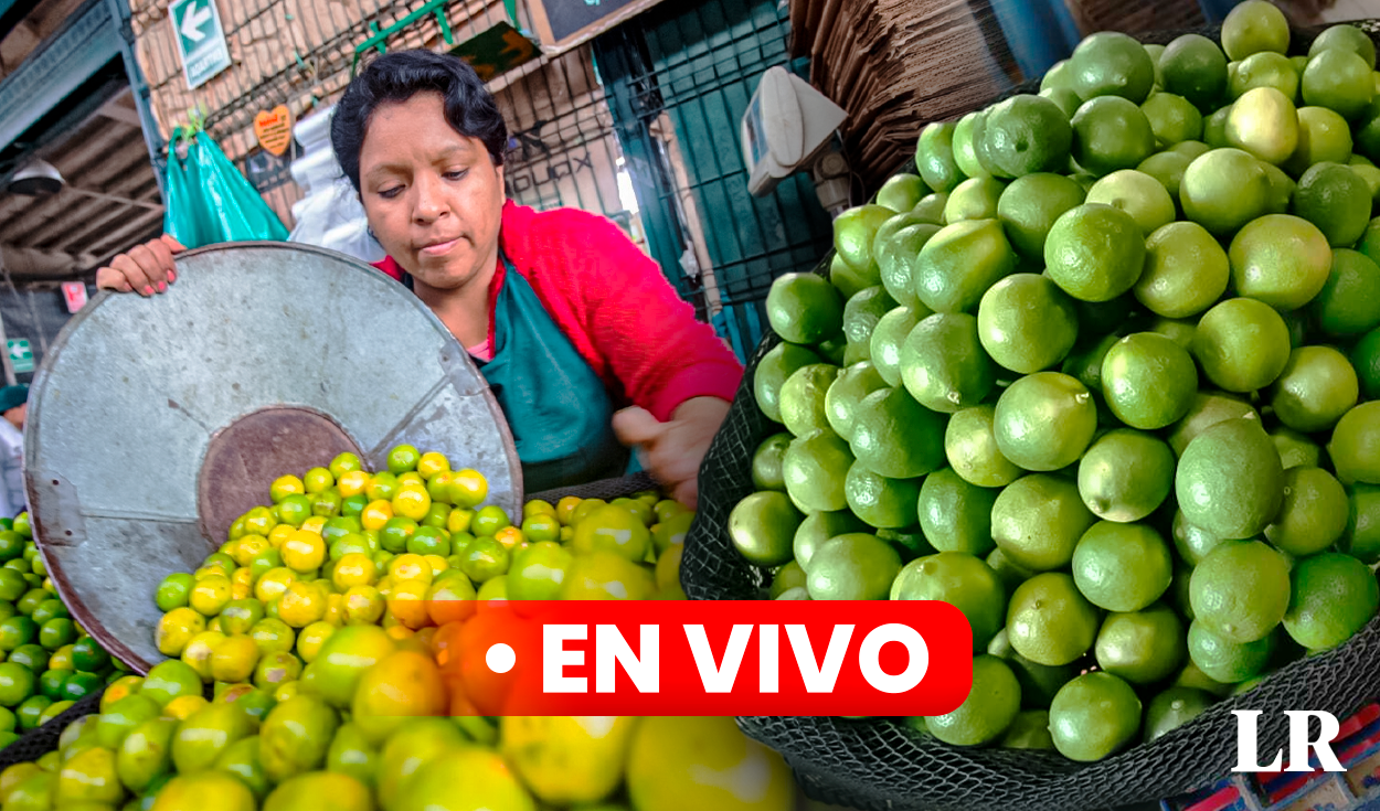 Precio Del Limón Hoy 25 De Septiembre Cuánto Cuesta El Kilo En Lima Y