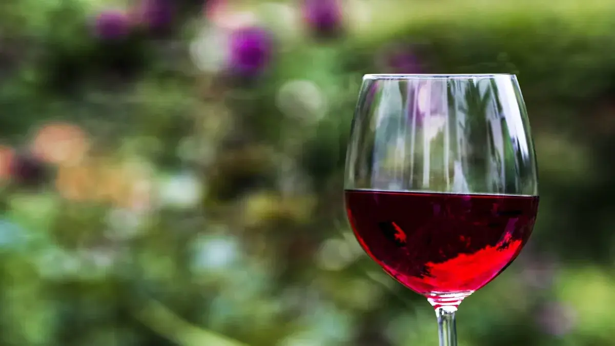 italia trionfa ai decanter world wine awards 2024: sei vini italiani tra i migliori al mondo
