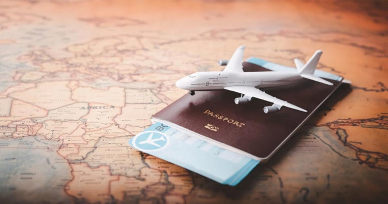 Visa Status & More: 10 Things To Know About Travel Visa Pro