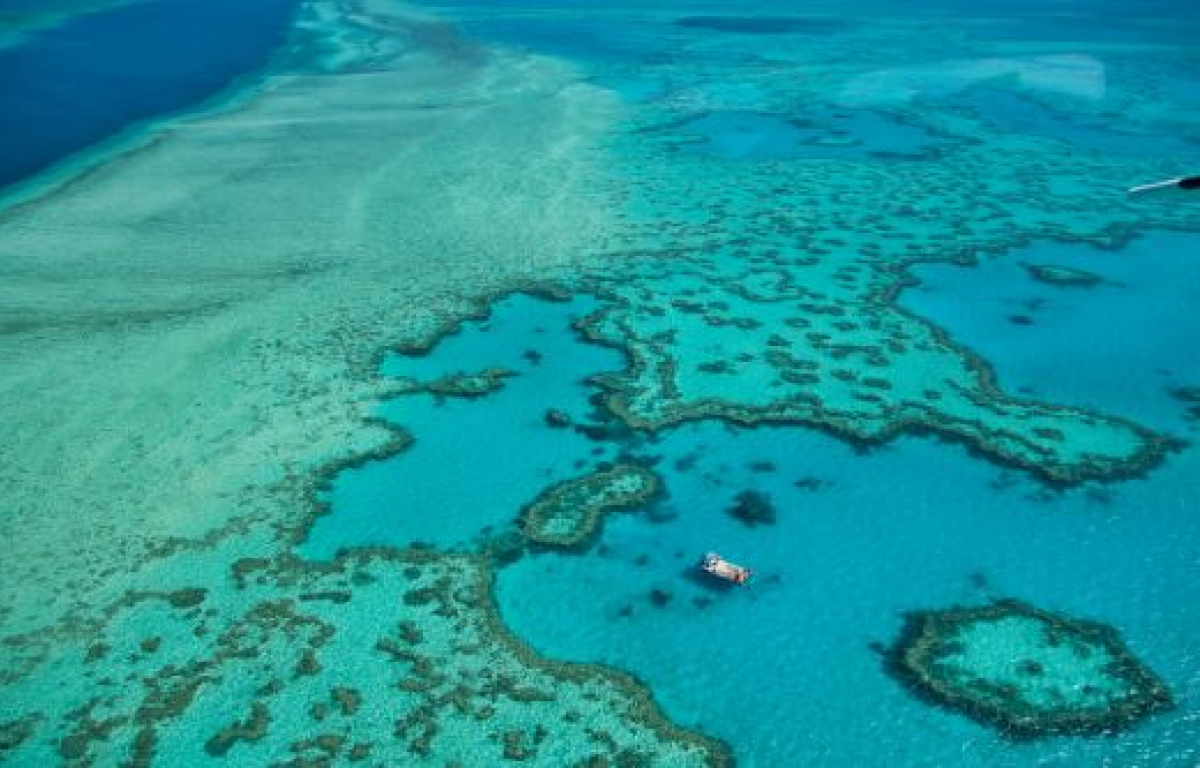 <p>The Great Barrier Reef is the world's largest coral reef system. This is so big and beautiful that you can even see it from space. Located on the coast of Queensland, it holds over 1,400 miles with 2,900 reefs and 900 islands.</p> <p>Unfortunately, climate change (coral bleaching), pollution and oil spills, and crown-of-thorns starfish are threatening its environment. Some scientists even think it could disappear within the next 10 years.</p>