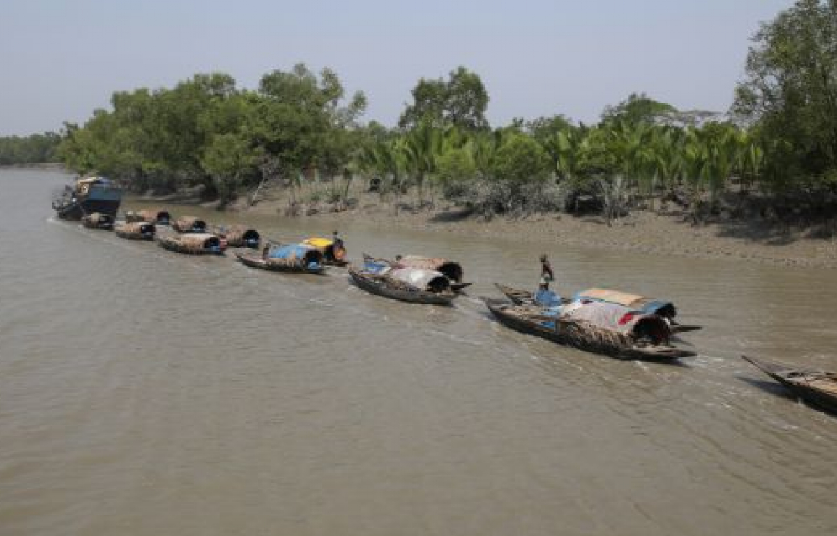 <p>The Sundarbans are currently the biggest sanctuaries of the Bengal tiger and other 453 fauna wildlife. It holds 3,900 square miles of allegedly protected forest. Sadly, it’s not really protected at all.</p> <p>Pollution, illegal hunting, landfalls, climate change, and the need for fossil combustibles for coal-based thermal power plants have made the sea level rise to dangerous levels, eroding the coast and endangering its wildlife.</p>