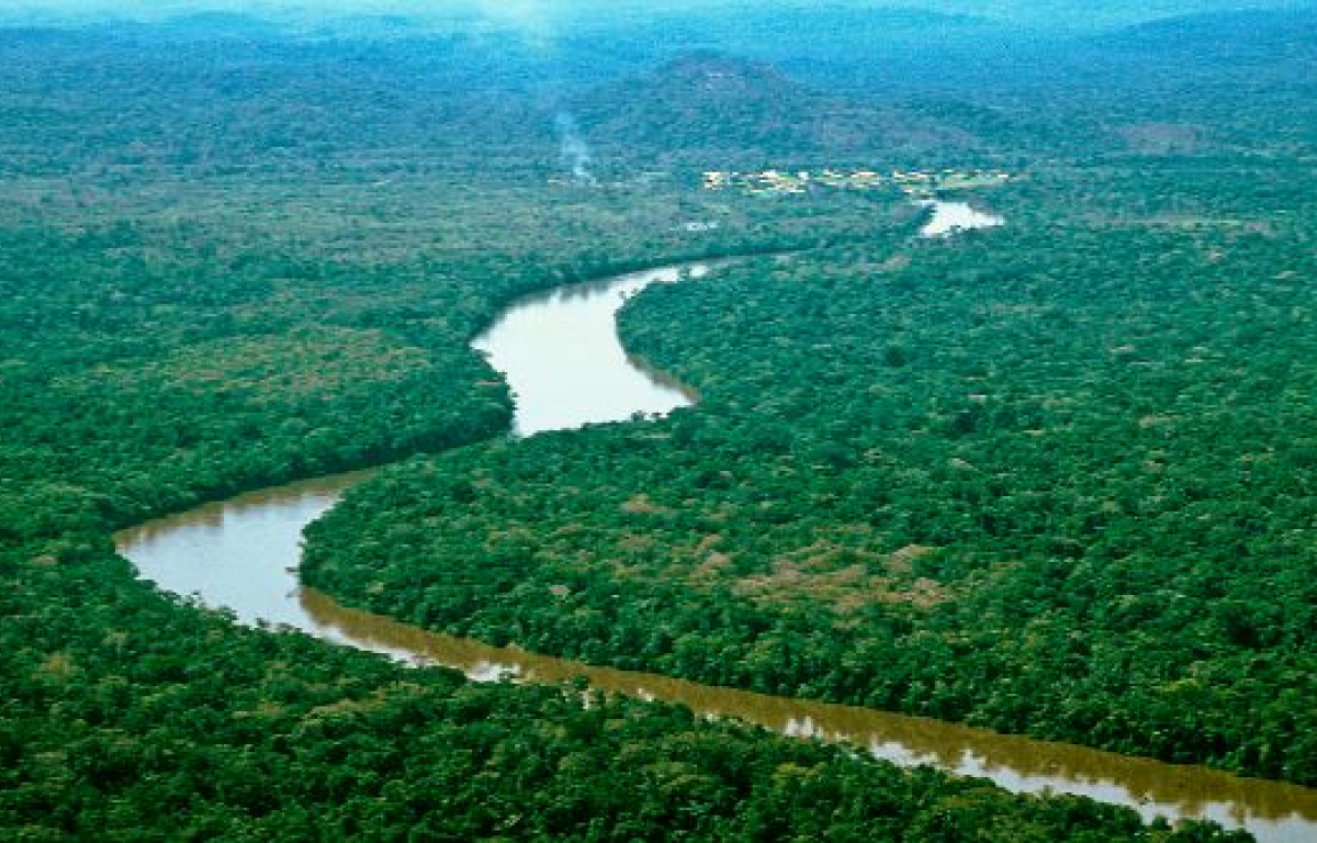 <p>The Amazon Rainforest holds one of the biggest biodiversity on earth. In fact, it’s yet to be fully explored and it’s believed to hold species of flora and fauna that we haven’t discovered yet. Sadly, we may never get to do it.</p> <p>Thing is, massive deforestation, agriculture, climate change and exploitation of its natural resources and minerals are destroying hundreds of acres of forest by the day. It’s heartbreaking.</p>