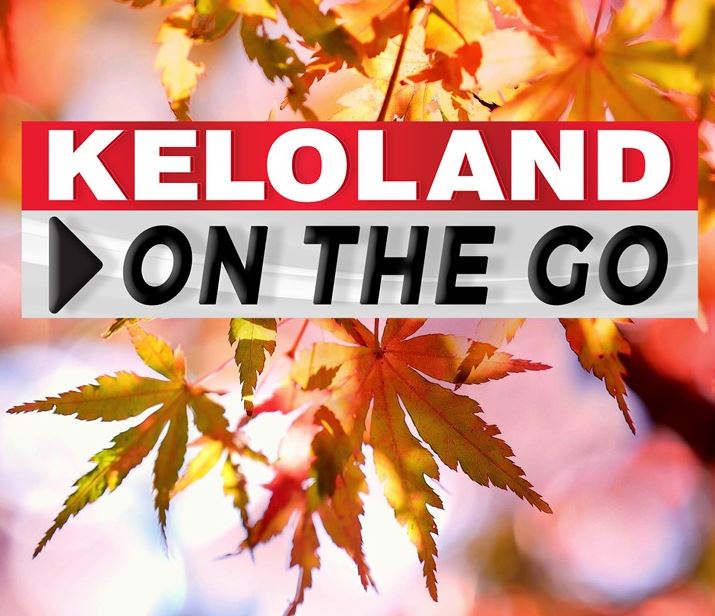 View a sample ballot; sex crime arrest; normal temps this week