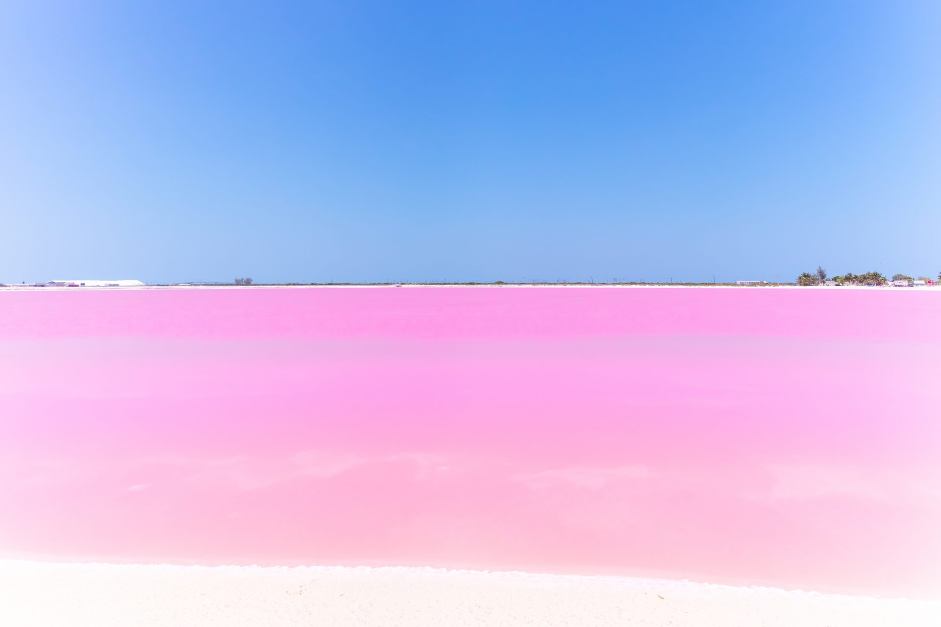 Pictures Of The Most Beautiful Pink Lagoons In The World