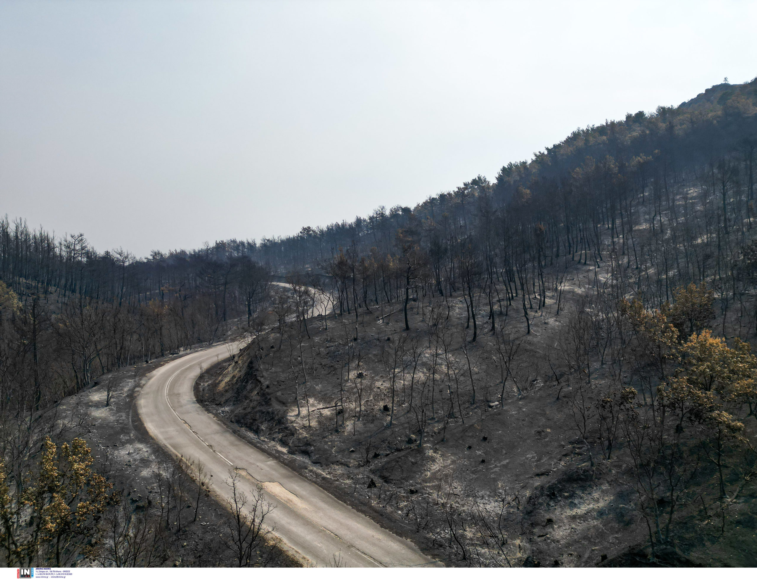 έξι μήνες από την καταστροφική πυρκαγιά στον έβρο: «πονάει η ψυχή μας, τα χωριά μας έχουν ημερομηνία λήξης» – τι λένε κάτοικοι στο enikos.gr