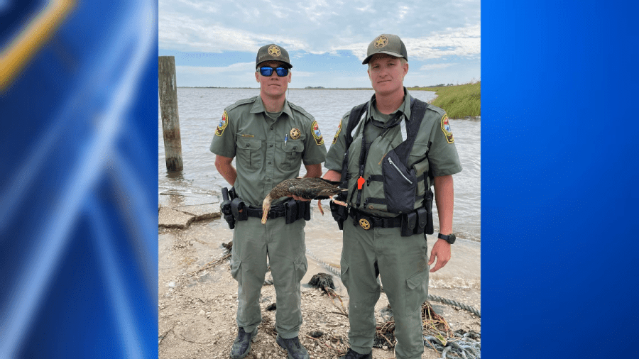 SCDNR Citations issued as Migratory Bird Season commences