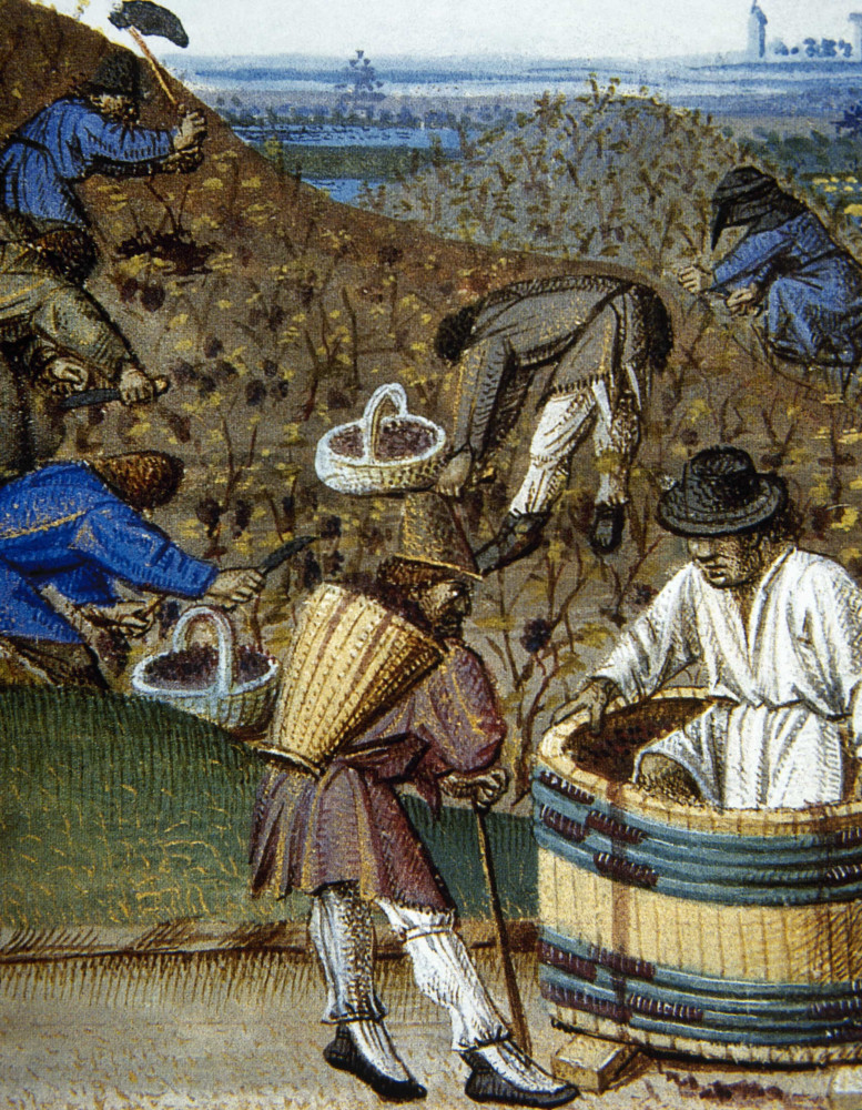 Surprising facts about the Middle Ages