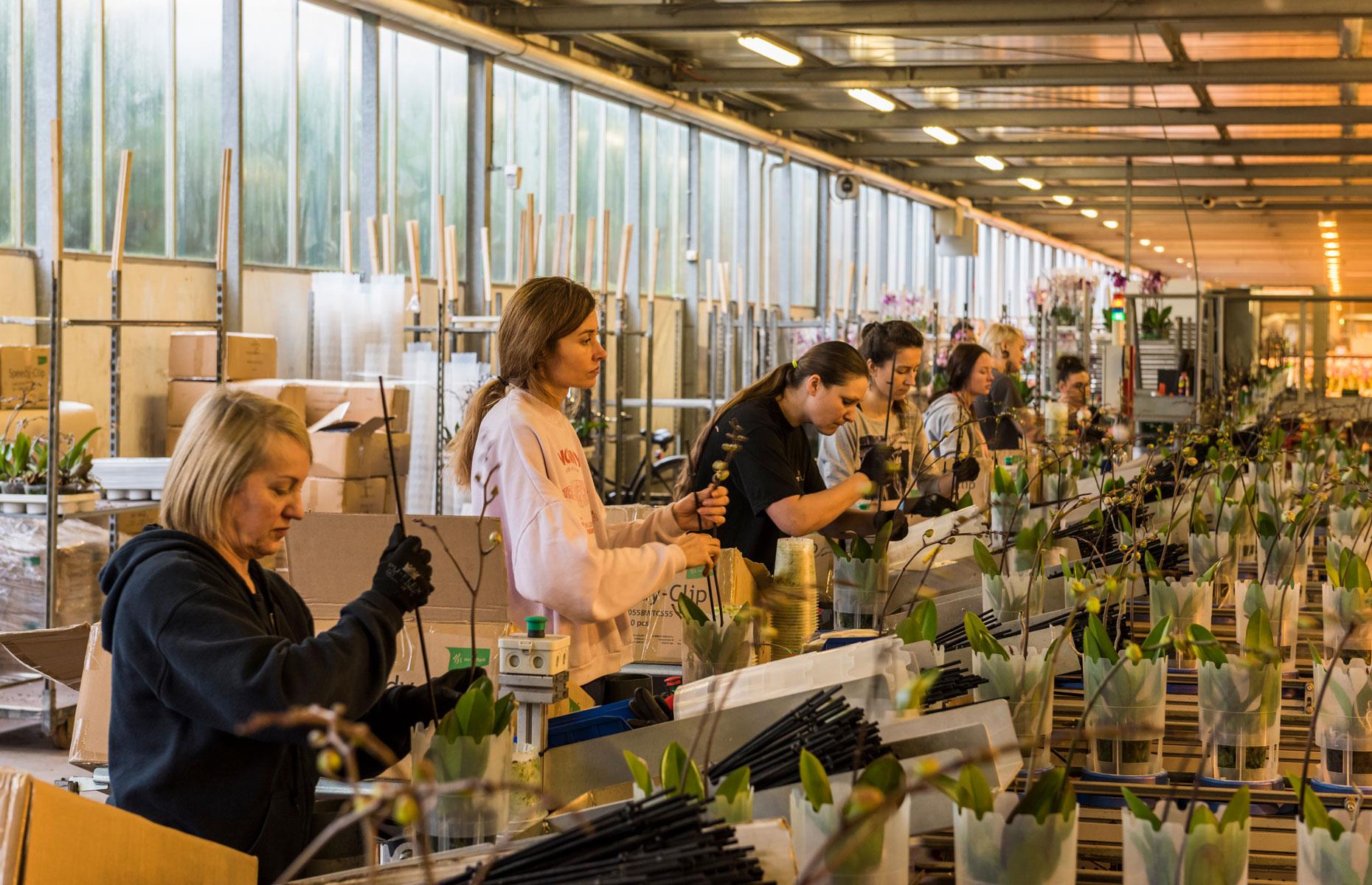 America’s Average Salary, and How It Compares to Other Countries