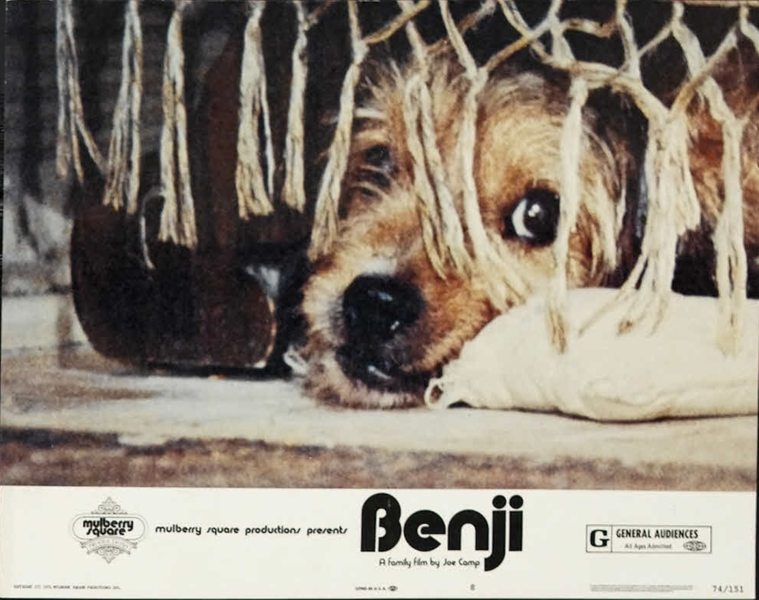 <p>“Benji” is a true American success story. Director Joe Camp couldn’t get any studio to make his movie about a mutt on an adventure. He made it for $500,000. It made $45 million, and then spawned four sequels, including the ominously named “Benji the Hunted.”</p><p><a href='https://www.msn.com/en-us/community/channel/vid-cj9pqbr0vn9in2b6ddcd8sfgpfq6x6utp44fssrv6mc2gtybw0us'>Follow us on MSN to see more of our exclusive entertainment content.</a></p>
