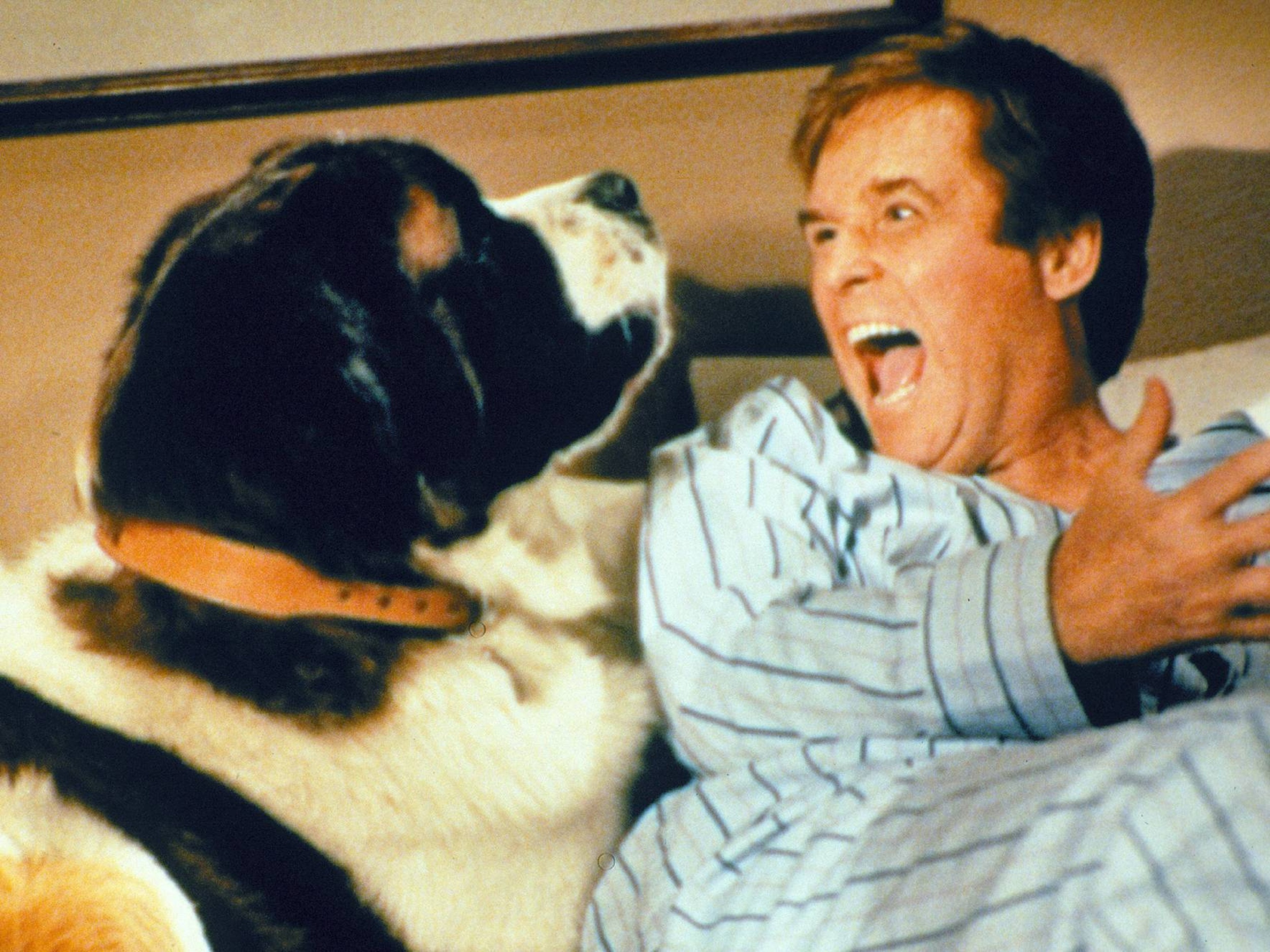 <p>There are no talking dogs in “Beethoven.” Just a gigantic St. Bernard making Charles Grodin miserable. Grodin was perfect casting for a film like this. He plays put-upon dad with gusto against his large, hirsute costar.</p><p><a href='https://www.msn.com/en-us/community/channel/vid-cj9pqbr0vn9in2b6ddcd8sfgpfq6x6utp44fssrv6mc2gtybw0us'>Follow us on MSN to see more of our exclusive entertainment content.</a></p>
