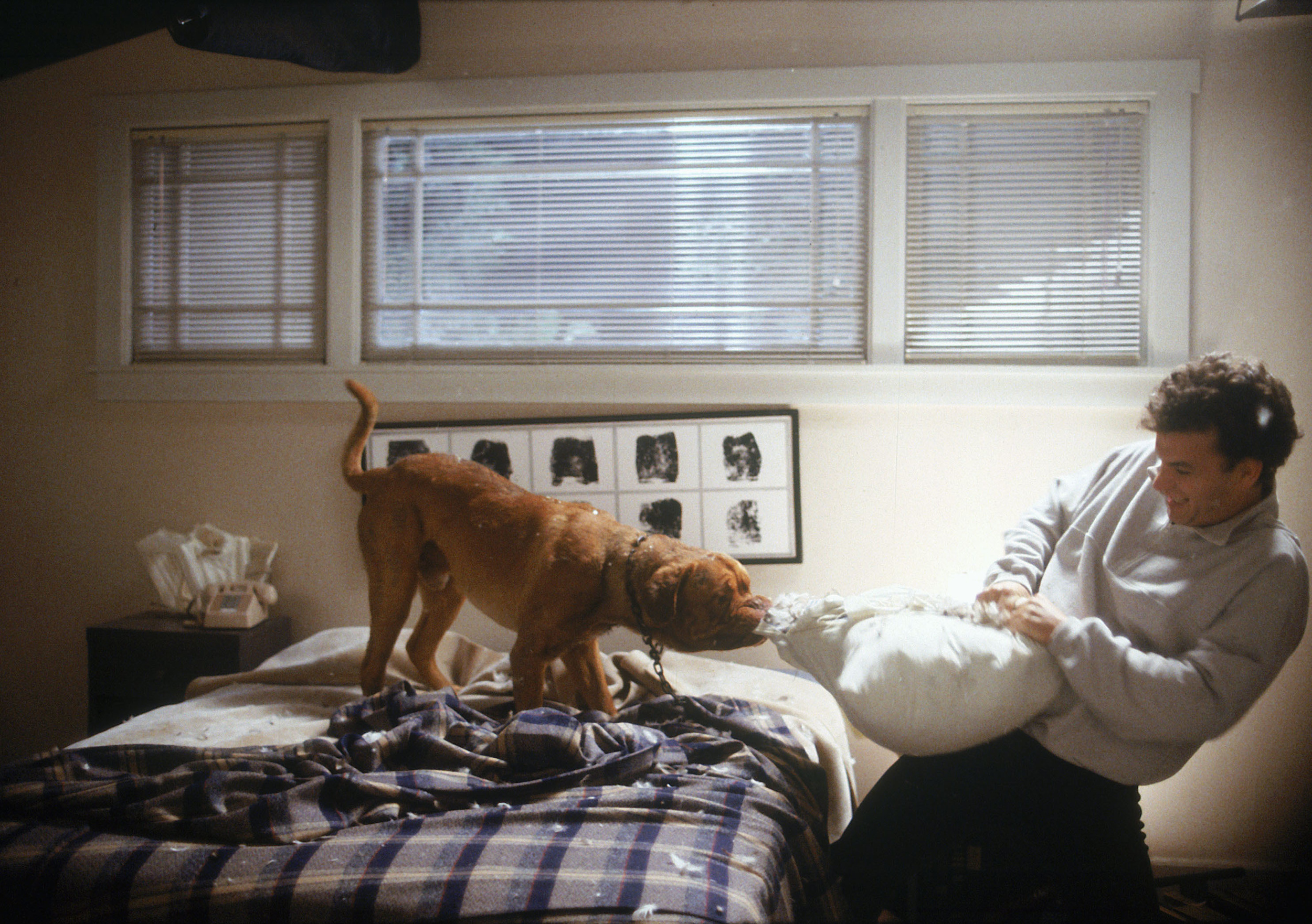 <p>Grodin did great work with a dog, and so did Tom Hanks. Early in his career, before he was an Oscars darling, Hanks played a cop who is paired with a dog on a case. It’s a mismatched buddy cop film at its core, but one of them is a canine. Hanks has to shoulder the load, but he has no problem with it, of course. He even nails the dramatic moments.</p><p>You may also like: <a href='https://www.yardbarker.com/entertainment/articles/teen_movie_leads_thatd_be_the_best_and_worst_prom_dates_092723/s1__38644920'>Teen movie leads that’d be the best and worst prom dates</a></p>