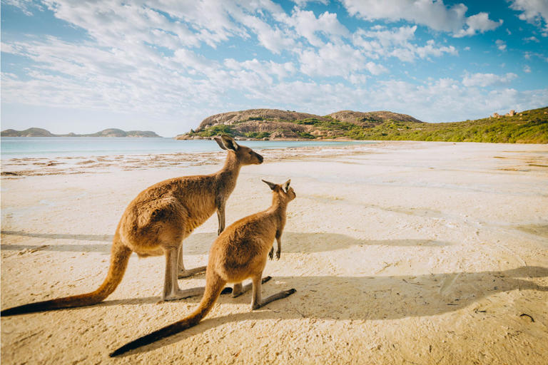 Travel-Australia-Guide-Main
