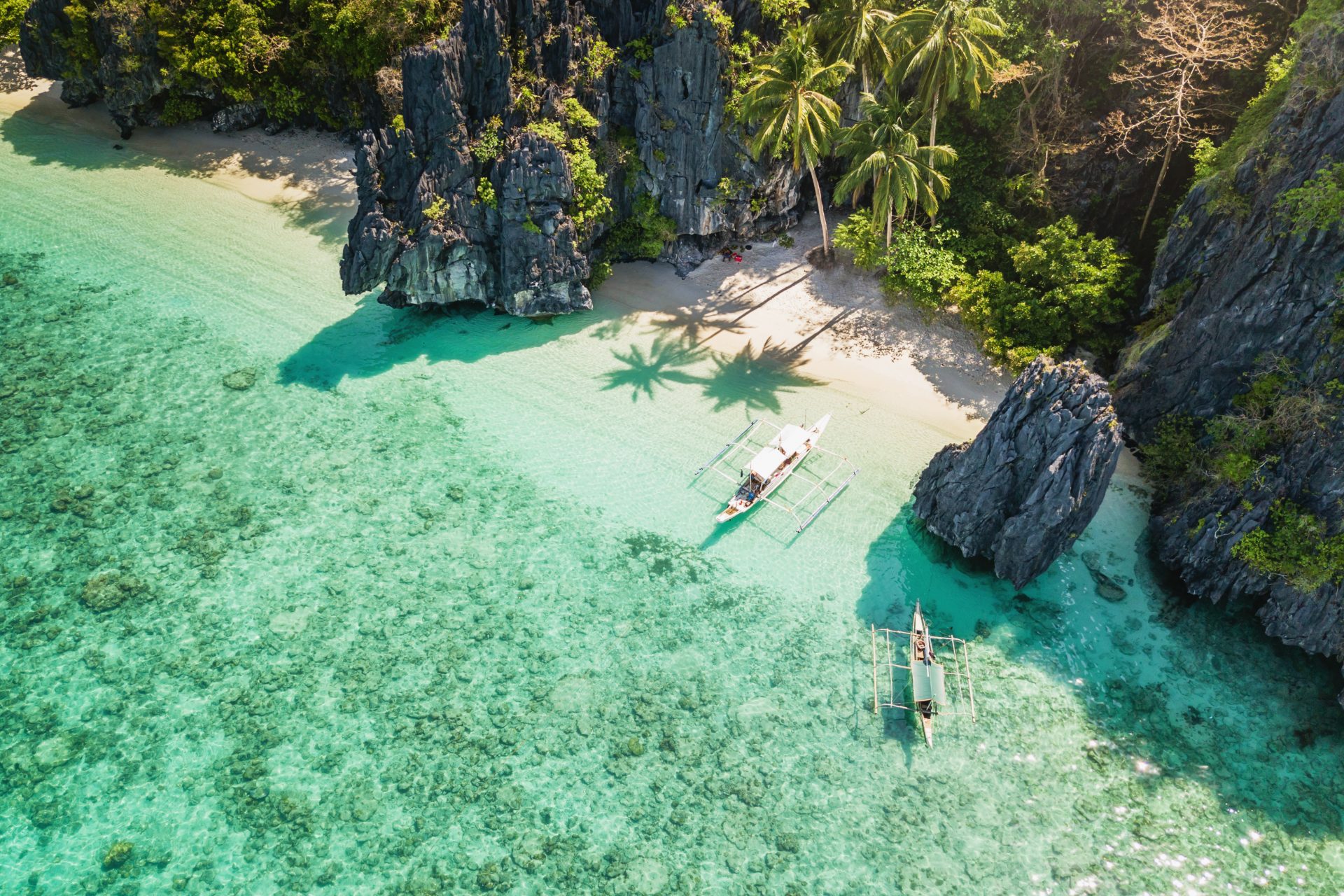 <p>A peripheral region of the Philippines located between the heart of the archipelago and Malaysia, Palawan is beginning to become known for its exceptional seascapes and its abundant jungles. Go for an adventure on this narrow and long island of about 400 kilometers!</p>