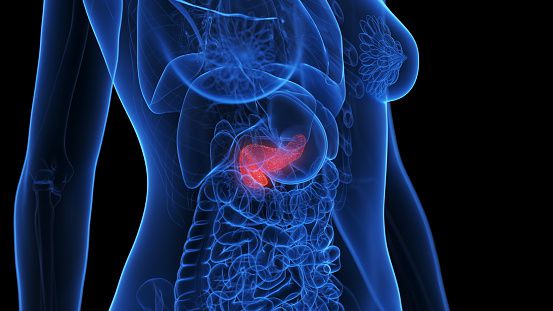 cáncer de páncreas: estos son los principales factores de riesgo a los que se debe prestar atención