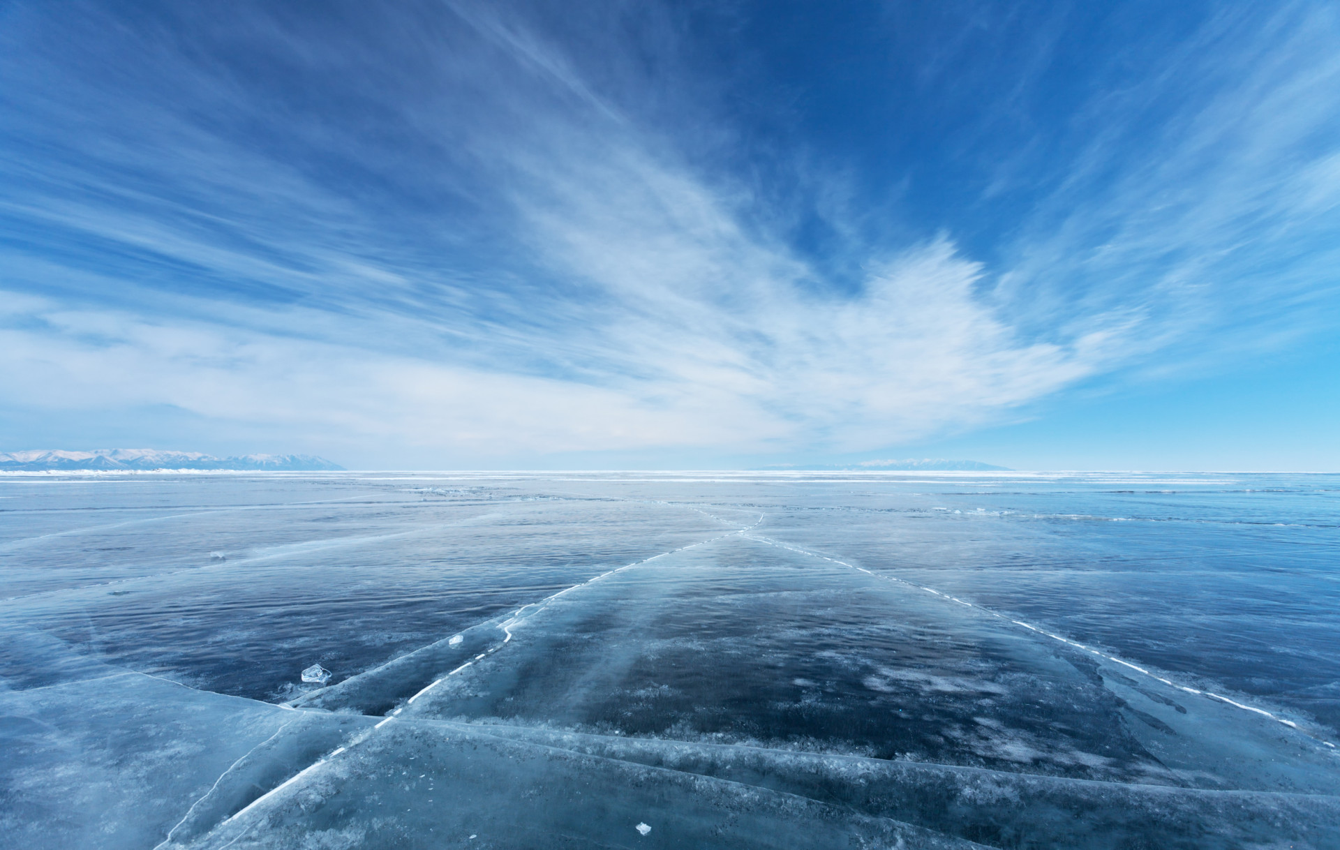 Incredible discoveries found frozen in ice