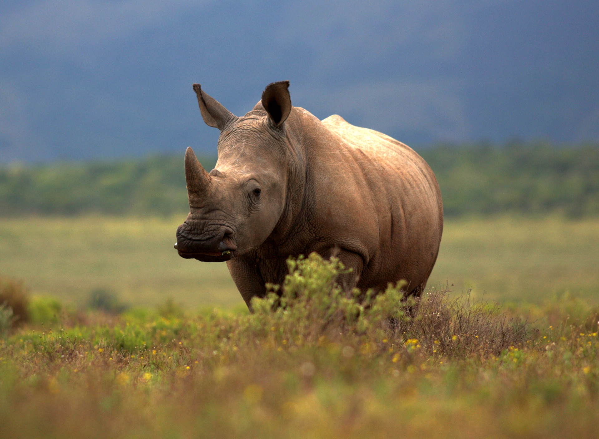 The best European countries for work-life balance in 2025