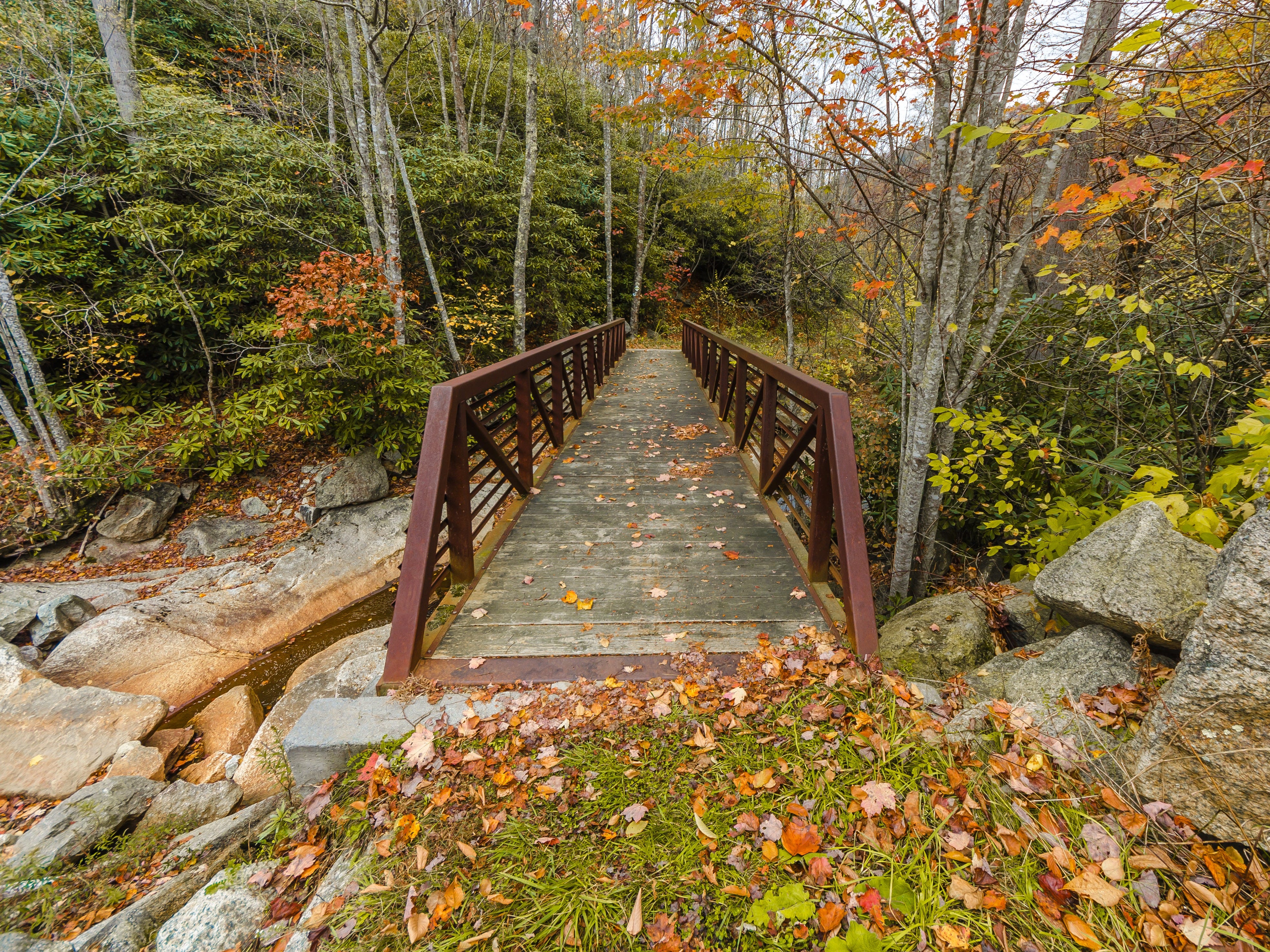 <p>Here, you'll encounter <a href="https://beechmtn.com/emerald-outback/">7 miles of treks</a> that are designed to accommodate all experience levels. Whether you're wanting a leisurely afternoon stroll or something more intense, you'll find it there.</p><p>Trails are marked with green for beginner routes, blue for intermediate routes, and black for advanced trails. All the hikes offer the chance to trek through lush forests and take in some gorgeous views at the lookout points.</p>