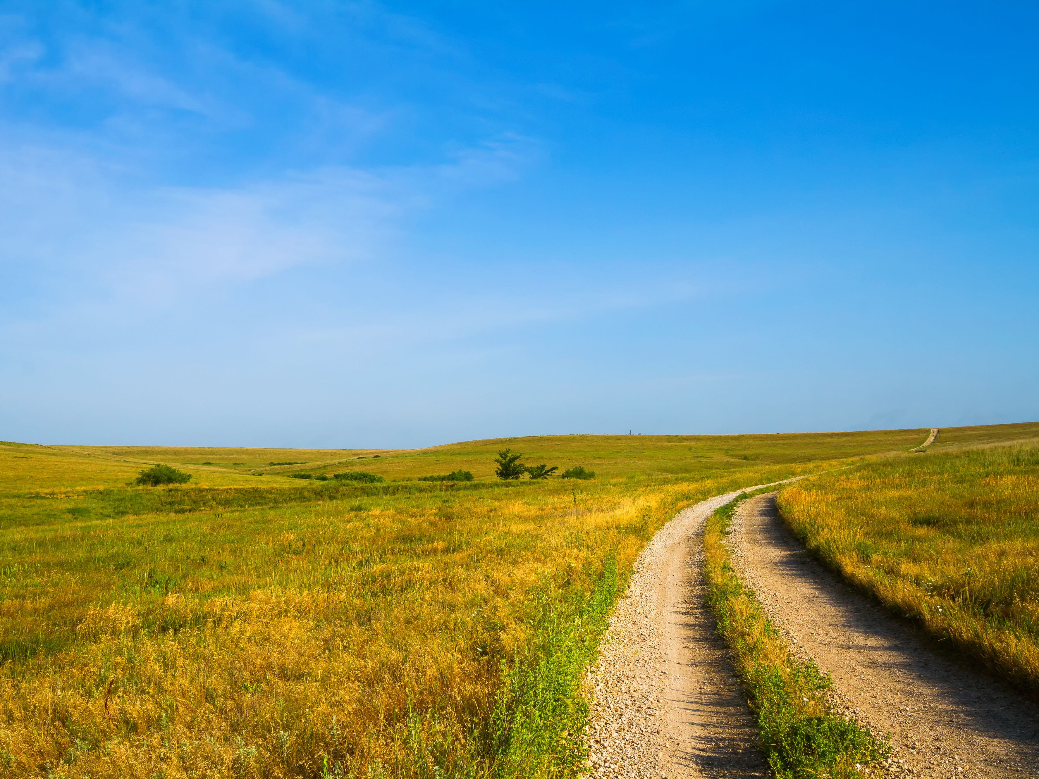 <p>From picturesque prairies to fresh farmland, the <a href="https://kanzatrails.org/flint-hills-nature-trail/">Flint Hills Trail</a> offers a wide array of landscapes. It's also the longest and most diverse trail in Kansas, according to <a href="https://www.kansas.com/news/state/article152968244.html">The Wichita Eagle</a>.</p><p>Although the flat landscape makes it a pretty easy hike, you can still challenge yourself by hiking all <a href="https://kanzatrails.org/flint-hills-nature-trail/#:~:text=The%20Flint%20Hills%20Trail%20stretches,%2C%20Bushong%2C%20and%20Council%20Grove.">117 miles</a> of it — which usually takes about eight or nine days to complete.</p>