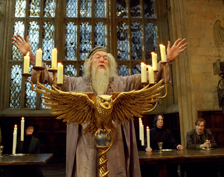 'Raise your wands:' Social media flooded with tributes to Dumbledore actor Michael Gambon