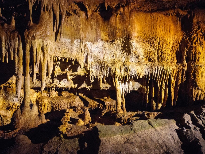 <p>Just outside of <a href="http://www.visitbgky.com/">Bowling Green</a>, Kentucky, you'll find the longest known underground cave system in the world. There are plenty of underground adventures to be had, and above ground, you'll find plenty of hiking.</p><p>The area offers <a href="https://www.nps.gov/maca/planyourvisit/trails.htm">a plethora of trails</a>, but the <a href="https://www.alltrails.com/trail/us/kentucky/sal-hollow-and-buffalo-creek-loop-trail">Sal Hollow Trail</a> is one of the best in the park.</p>