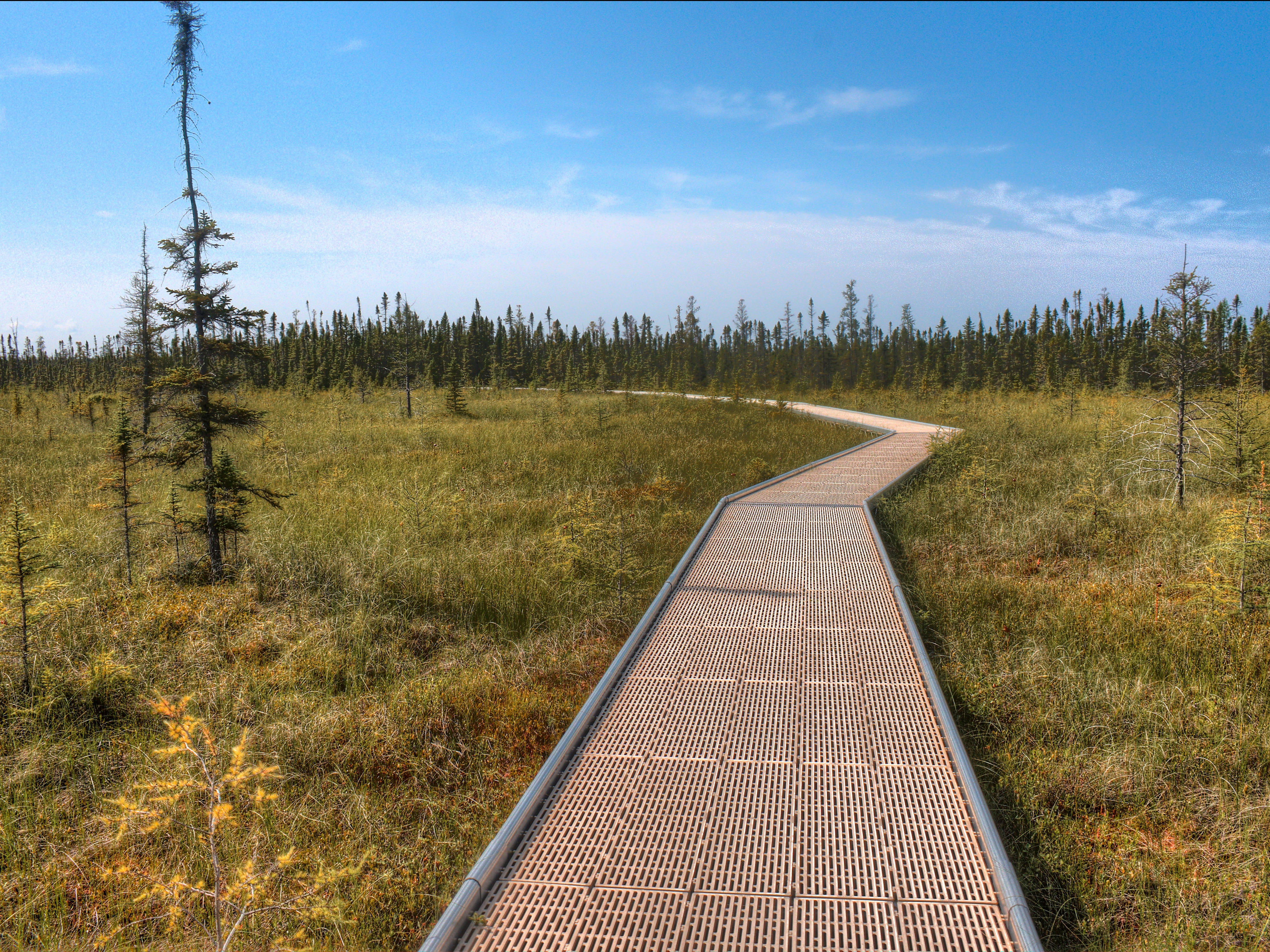 <p>A boardwalk allows visitors to take in all the views of the <a href="https://www.dnr.state.mn.us/state_parks/park.html?id=sra00308#homepage">500-square mile peat bog</a>. </p><p>Wander through the stunted tamarack and spruce forest on the mile-long trail, and at the end, you'll be treated to a viewing platform, benches, and a binocular viewer.</p><p>Since the trail is made of a raised boardwalk, it is accessible for strollers, wheelchairs, and less-experienced hikers. </p>