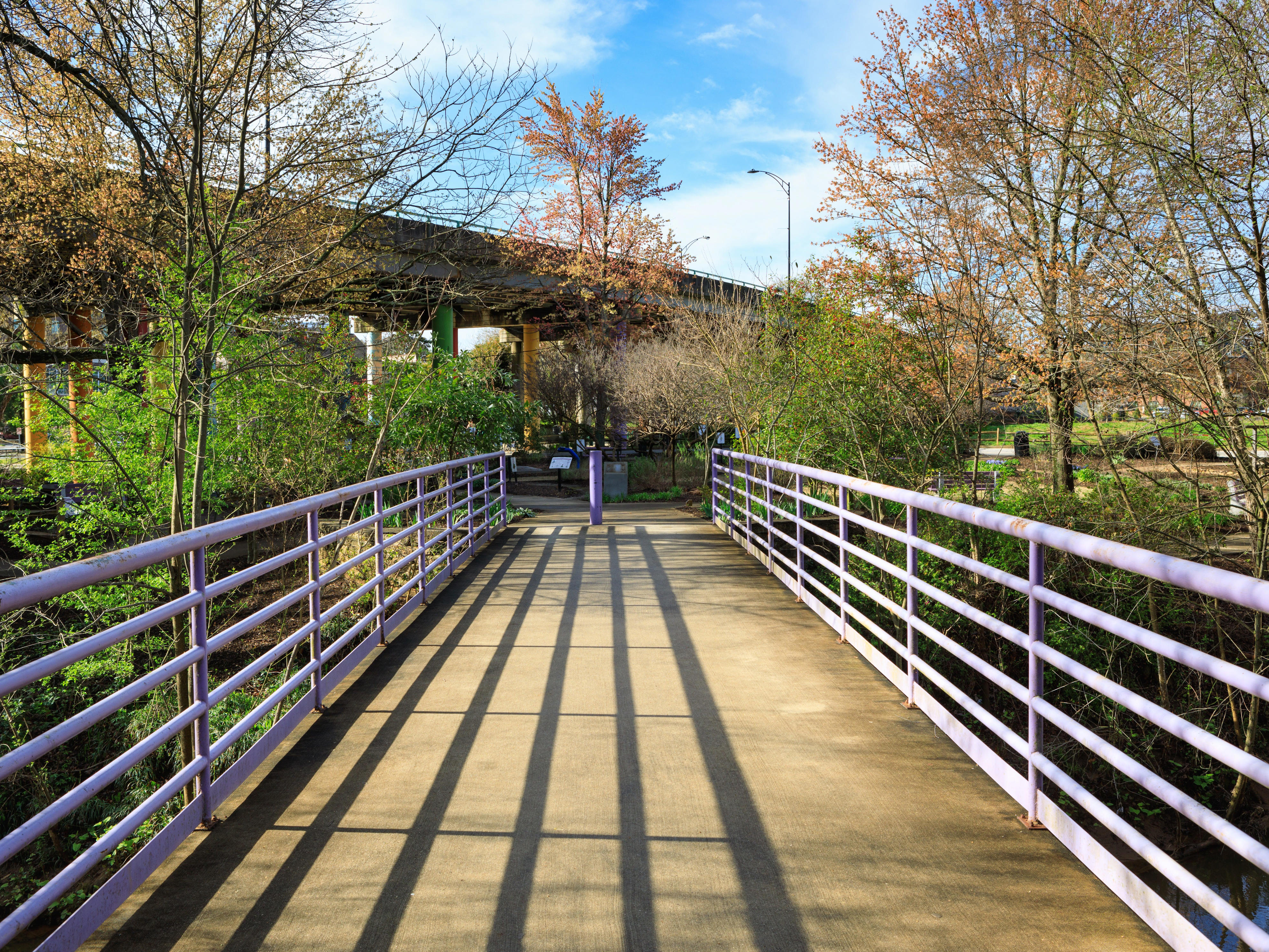 <p>This <a href="https://www.greenvillesc.gov/316/Swamp-Rabbit-Trail-Interactive-Map">22-mile mixed-use trail</a> runs right through downtown Greenville, so you get the best of both worlds: nature at its finest and a charming southern city.</p><p>One of the stars of the trail is an iconic beech tree with exposed roots and a canopy that towers 100 feet in the air. The trail also leads to <a href="https://www.greenvillesc.gov/167/Falls-Park">Falls Park on the Reedy</a>, an urban park with a suspension bridge where you can get unobstructed views of the Reedy River waterfalls.</p>