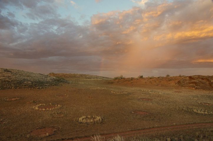 A nova pesquisa foi divulgada nesta segunda-feira (25/09), na revista Proceedings of the National Academy of Sciences.