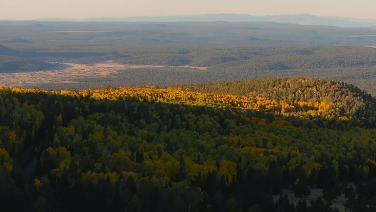 Arizona’s Family is highlighting all the top destinations for your next Flagstaff road trip.