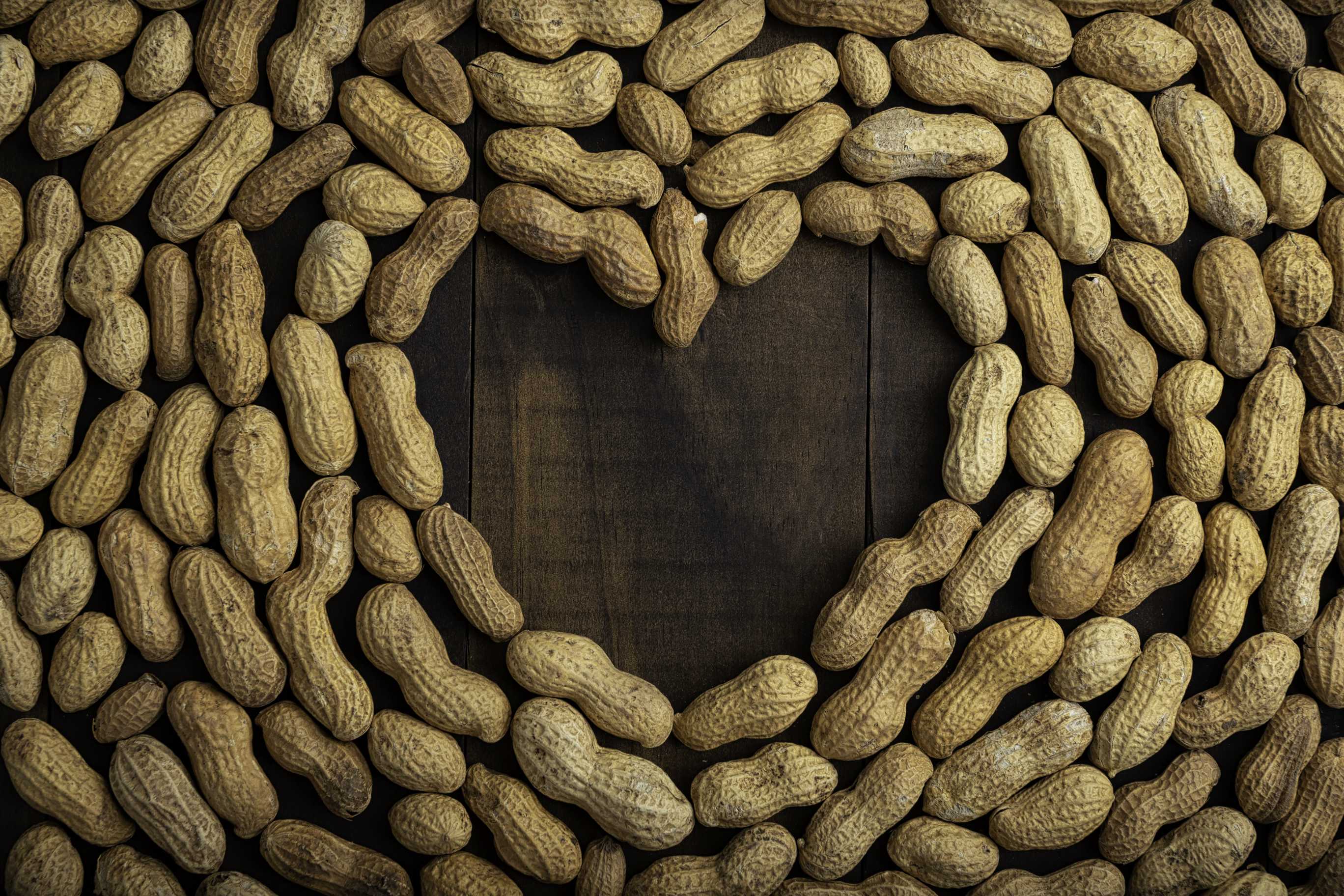 microsoft, professional faqs: are dry roasted peanuts good for people with diabetes?