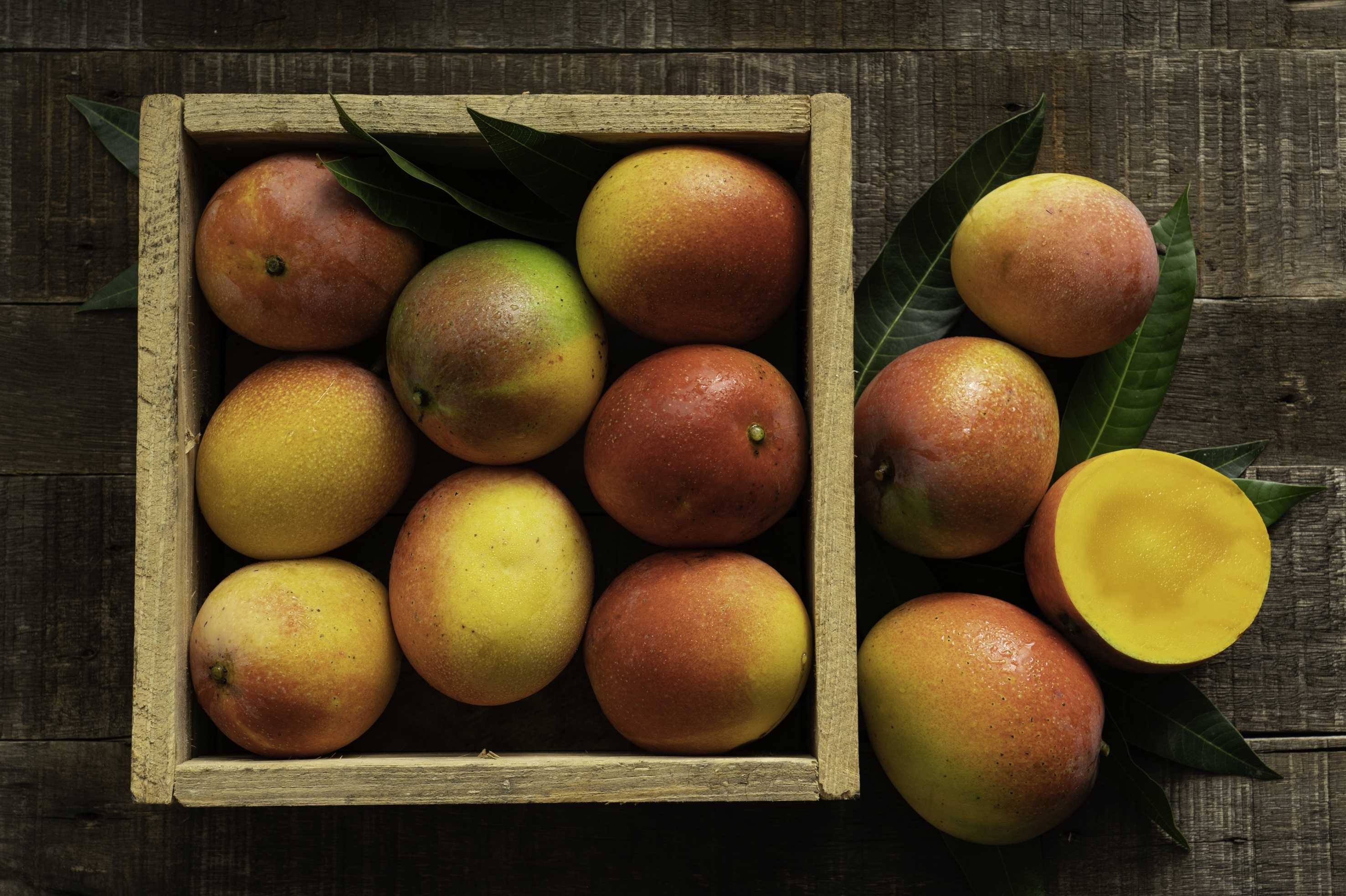 microsoft, unlock the health benefits of mango peels: nutrition professional advice