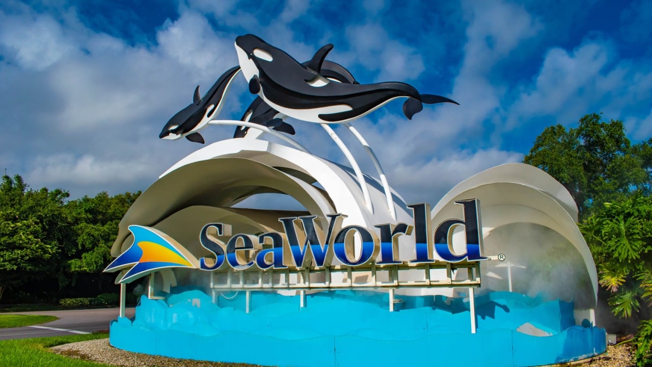 SeaWorld Announces A New Attraction Or Ride In Every Park For 2024   AA1ht26z.img