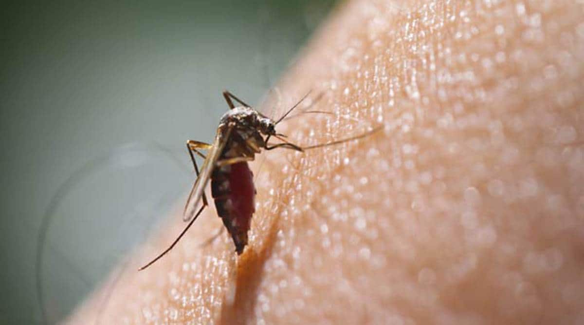 android, 11 ways to press delete on mosquito bites this summer