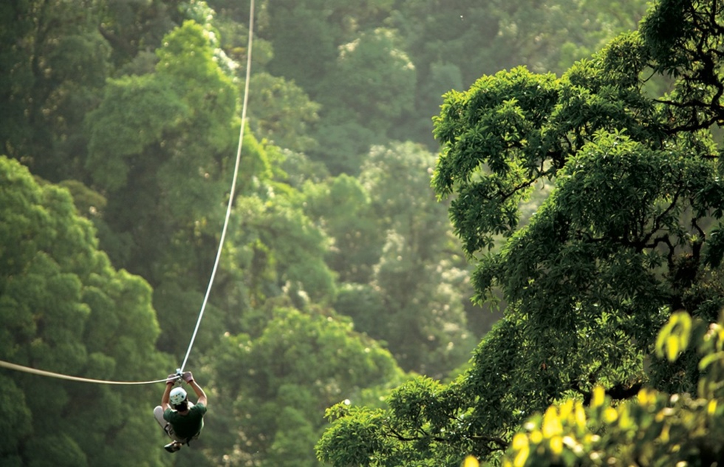 <p>Soar above forests and rivers on a series of scenic ziplines, then jump off a 70-foot platform with a bungee cord tied around your waist. It's an adrenaline junkie's dream, best explored in places like Monteverde. </p><p><a href='https://www.msn.com/en-us/community/channel/vid-cj9pqbr0vn9in2b6ddcd8sfgpfq6x6utp44fssrv6mc2gtybw0us'>Follow us on MSN to see more of our exclusive lifestyle content.</a></p>