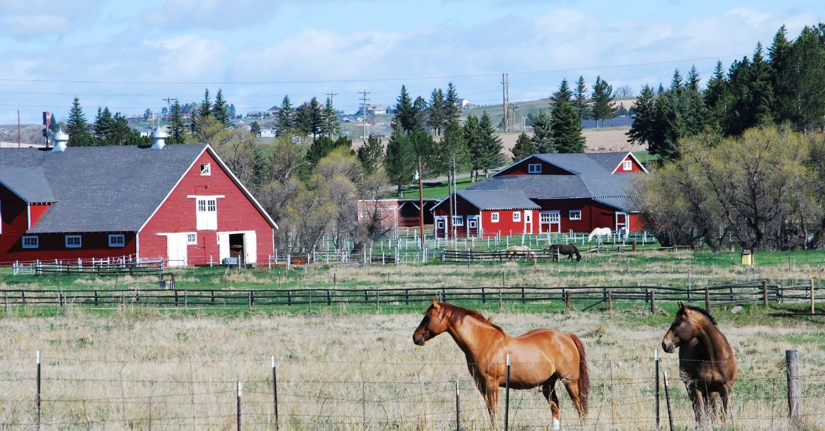 <p> With a cost of living lower than the national average and no state income tax, Cheyenne is an appealing place for retirees to move, especially if they’re looking for adventure out West.  </p> <p> This early railroad town is a top pick for seniors eager to buy affordable land and spend their golden years on a small ranch. </p>