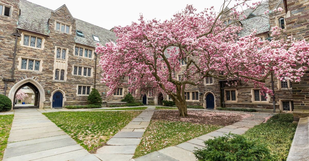 <p> The incredibly charming city of Princeton is even better than it looks in photos, and Princeton University isn’t the only attraction in this college town.  </p> <p> There’s shopping, restaurants, history, and quick access to New York and Philadelphia. </p>