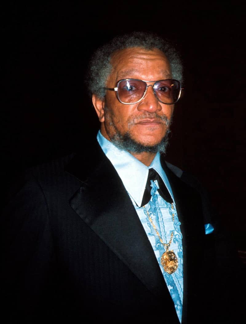 'Sanford and Son': Through The Years With The Cast