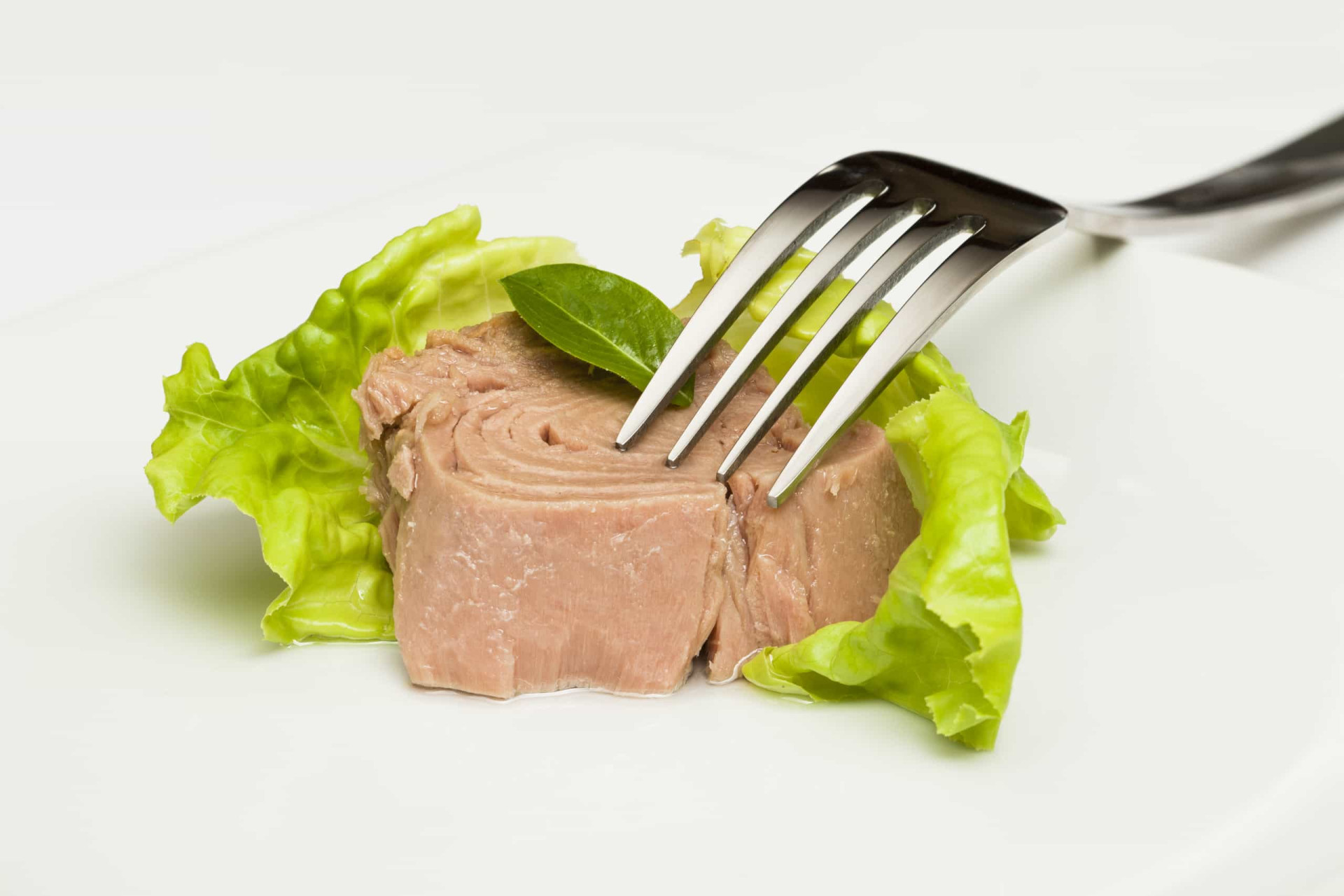 <p>When incorporating tuna into your diet, it is crucial to be cautious of mercury exposure. Consuming certain types of tuna in a single serving could exceed the recommended weekly limit for safe mercury consumption.</p><p><a href="https://www.msn.com/en-us/community/channel/vid-7xx8mnucu55yw63we9va2gwr7uihbxwc68fxqp25x6tg4ftibpra?cvid=94631541bc0f4f89bfd59158d696ad7e">Follow us and access great exclusive content every day</a></p>