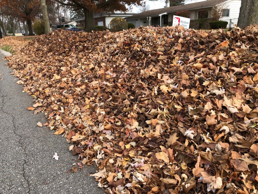 Fort Wayne leaf collection finished for the year